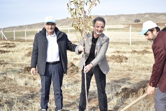 Sivas OSB’de Yeşil Dönüşüm! Binlerce Fidan Toprakla Buluşuyor